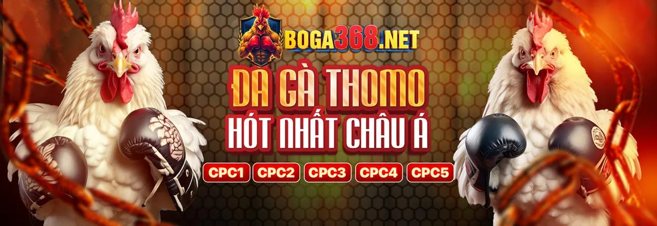 Phượng Hoàng Lửa 00playgo